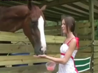 Girl feeding horse Porn Video | MuPorn.com